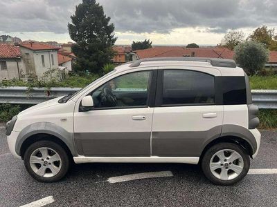 Usata Fiat Panda 4x4 Cross 75 CV (55 kW) 2011 Bianco Utilitaria