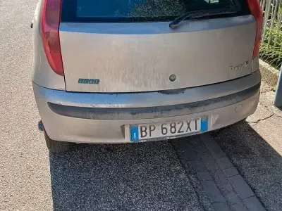 Brugt Fiat Punto