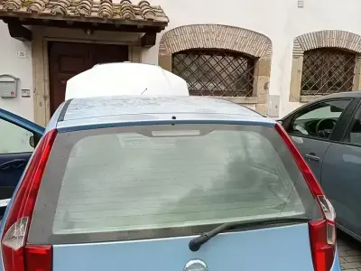 Usata Fiat Punto