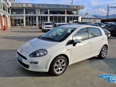 usata Fiat Punto Evo 5p 1.3 mjt II 16v Street eco Garanzia 12 mesi