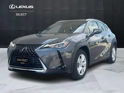 Usata Lexus UX 250h Business Edition 184 CV (135 kW) 2022 Grigio SUV