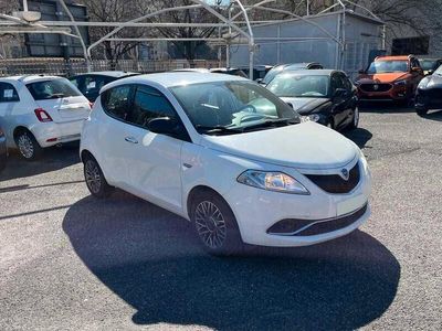 usata Lancia Ypsilon 1.2 69 CV 5 porte Platinum