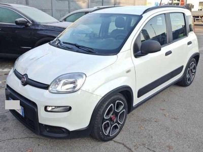 Usata Fiat Panda Sport 69 CV (50 kW) 2021 Utilitaria