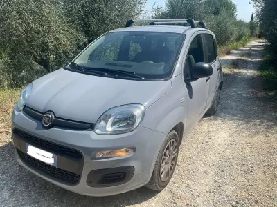 Usata Fiat Panda Lounge 95 CV (69 kW) 2018 Grigio Utilitaria