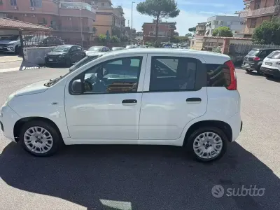 Usata Fiat Panda 80 CV (58 kW) 2018 Utilitaria