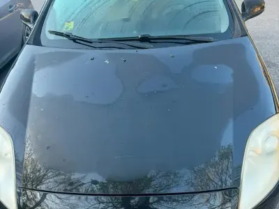 Usata Fiat Bravo
