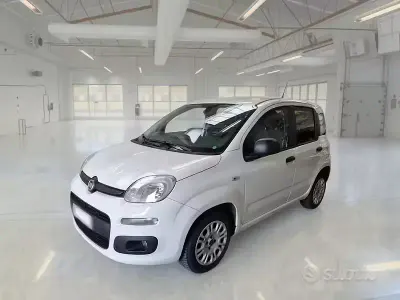 Usata Fiat Panda Easy 69 CV (50 kW) 2020 Bianco Utilitaria