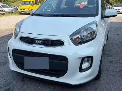 Usata Kia Picanto 66 CV (48 kW) 2016 Bianco Utilitaria