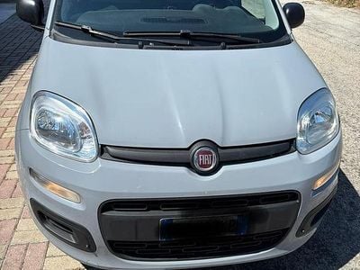 Usata Fiat Panda 70 CV (51 kW) 2021 Grigio Utilitaria