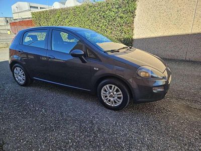 Usata Fiat Punto Lounge 95 CV (69 kW) 2016 Grigio Utilitaria