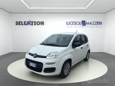Usata Fiat Panda S 70 CV (51 kW) 2021 Bianco Utilitaria