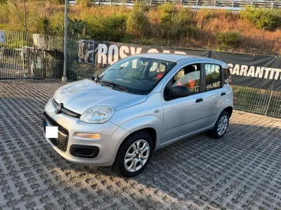 Usata Fiat Panda Pop 80 CV (58 kW) 2014 Argento Utilitaria