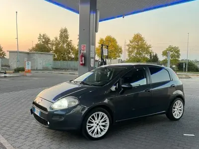 Usata Fiat Punto Lounge 75 CV (55 kW) 2015 Grigio Utilitaria