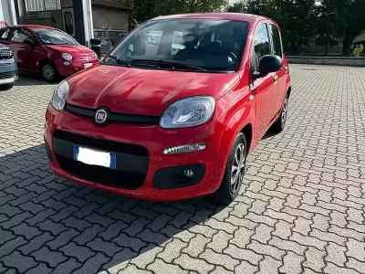 Usata Fiat Panda Easy 69 CV (50 kW) 2018 Rosso Utilitaria
