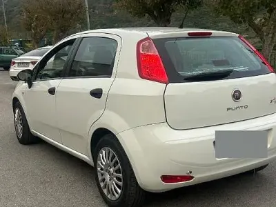 Usata Fiat Punto Street 75 CV (55 kW) 2015 Bianco Utilitaria