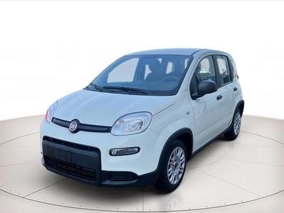 Usata Fiat Panda Cross Cross 70 CV (51 kW) 2024 Bianco Utilitaria