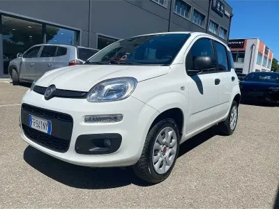 Usata Fiat Panda Lounge 80 CV (58 kW) 2018 Bianco Utilitaria