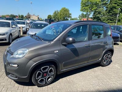Usata Fiat Panda City Life 70 CV (51 kW) 2022 Grigio scuro Utilitaria