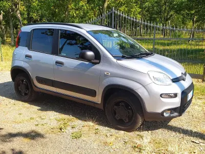 Usata Fiat Panda 4x4 S 95 CV (69 kW) 2017 Grigio Utilitaria
