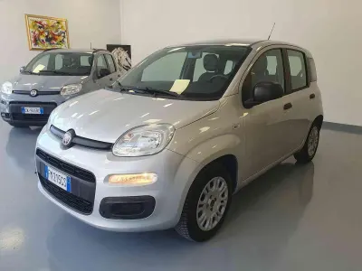 Usata Fiat Panda Easy 69 CV (50 kW) 2017 Argento Utilitaria