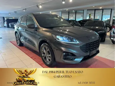 Usata Ford Kuga ST-Line X 152 CV (111 kW) 2022 Grigio SUV