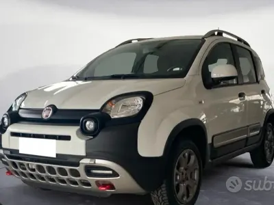 Usata Fiat Panda 4x4 Cross 95 CV (69 kW) 2013 Bianco Utilitaria