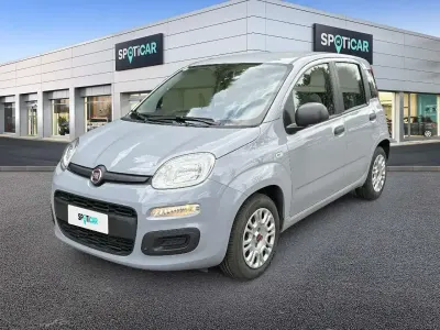 Usata Fiat Panda S 69 CV (50 kW) 2021 Grigio Utilitaria