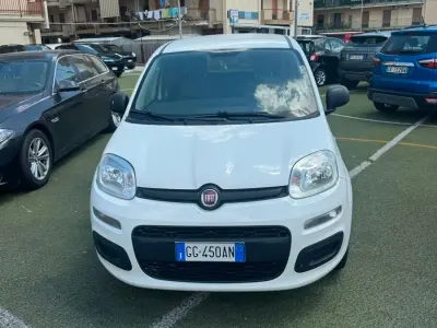 Usata Fiat Panda Cross