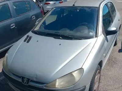 Usata Peugeot 206