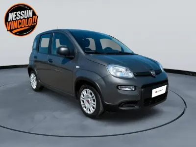 Begagnad Fiat Panda S 69 HK (50 kW) 2023 Grå Halvkombi