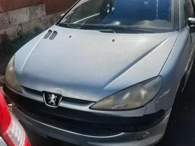 Usata Peugeot 206