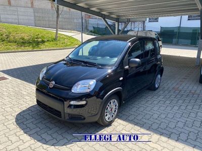 usata Fiat Panda 1200 GPL KM ZERO Castello di Annone