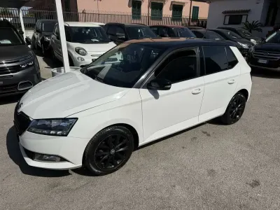 Usata Skoda Fabia