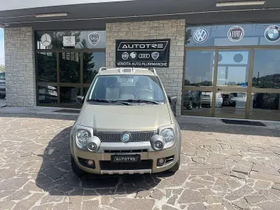 Usata Fiat Panda 4x4 69 CV (50 kW) 2007 Grigio Utilitaria