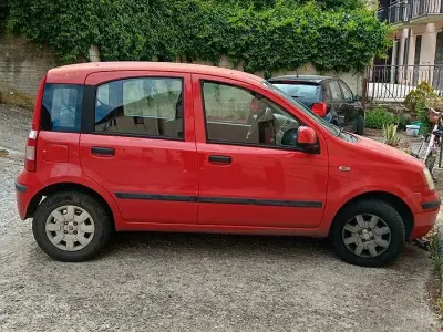Usata Fiat Panda 70 CV (51 kW) 2011 Utilitaria