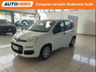 Usata Fiat Panda Icon 65 CV (47 kW) 2025 Bianco Utilitaria