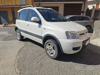 Usata Fiat Panda 4x4