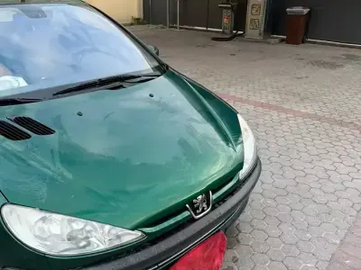 Usata Peugeot 206 60 CV (44 kW) 2003 Verde Utilitaria