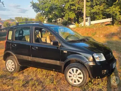 Usata Fiat Panda 4x4 2007 Utilitaria
