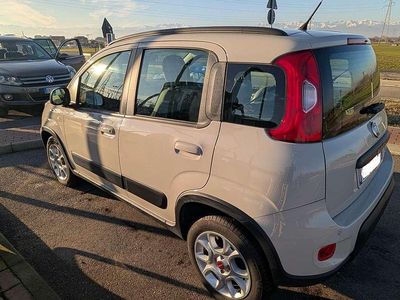 Usata Fiat Panda Trekking 85 CV (62 kW) 2014 Beige Utilitaria