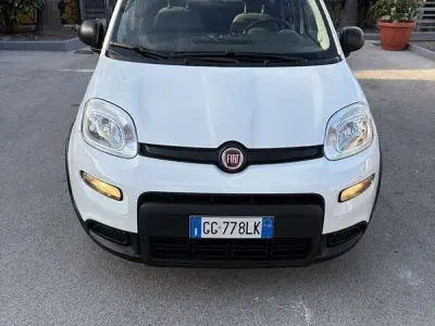 Usata Fiat Panda Cross