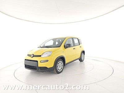 Usata Fiat Panda S 2024 Giallo Utilitaria