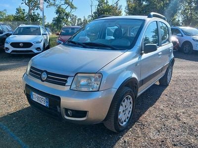 Usata Fiat Panda 4x4 2004 Grigio Utilitaria