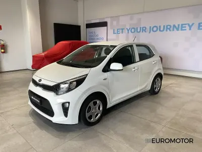 Usata Kia Picanto Active 65 CV (47 kW) 2019 Bianco Utilitaria