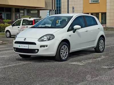 Usata Fiat Punto Lounge 77 CV (56 kW) 2013 Bianco Utilitaria
