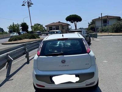 Usata Fiat Punto Evo Active 77 CV (56 kW) 2010 Utilitaria