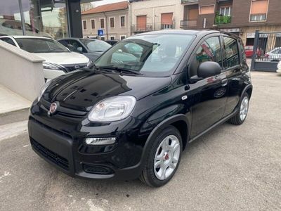 usata Fiat Panda 1.0 FireFly S&S Hybrid con Pack Comfort +5 Posto