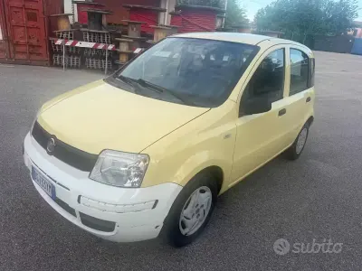 Usata Fiat Panda Active 54 CV (39 kW) 2008 Giallo Utilitaria