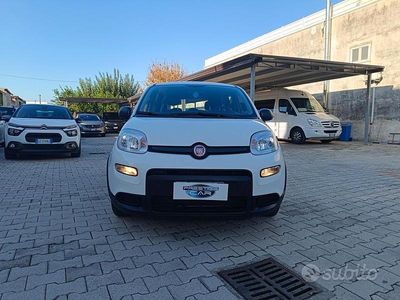 Usata Fiat Panda S 71 CV (52 kW) 2024 Bianco Utilitaria
