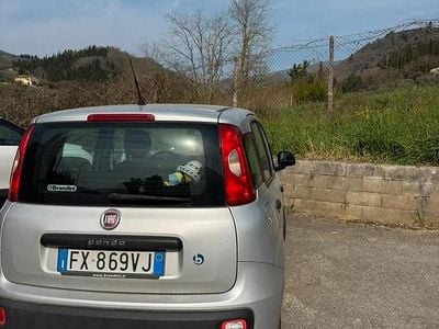 Usata Fiat Panda 69 CV (50 kW) 2019 Grigio Utilitaria